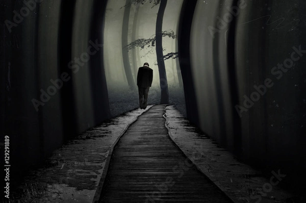 Fototapeta dark forest landscape