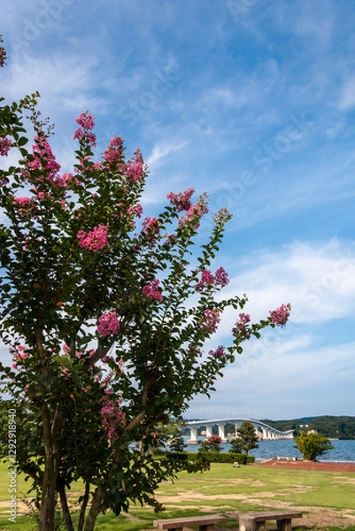 Obraz 石川県　能登島大橋　快晴の海と空　9月
