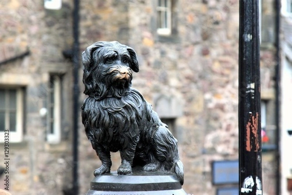 Obraz greyfriars bobby in edinburgh beloved dog and great friend