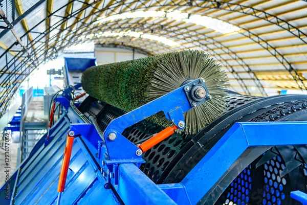 Obraz Metal brush in selective focus of conveyor at a modern waste processing factory. Separate and sorting waste collection. PET recycling plant. Eco-friendly business without pollution.