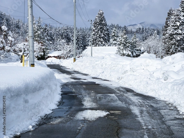 Fototapeta 冬の雪景色　道路　自然風景　イメージ