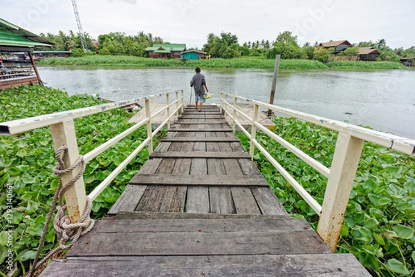 Fototapeta Scene of Rustic Wooden Pier Overlooking Riverside with Water Hyacinths and someone walking on it. It has white railings stretches over water and leading down to a peaceful riverside view.