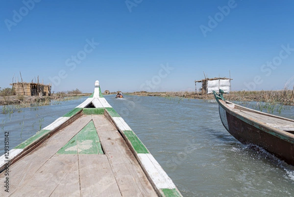 Fototapeta Boat trip in the Mesopotamian / Iraqi Marshes with the so called Marsh Arabs Madan
