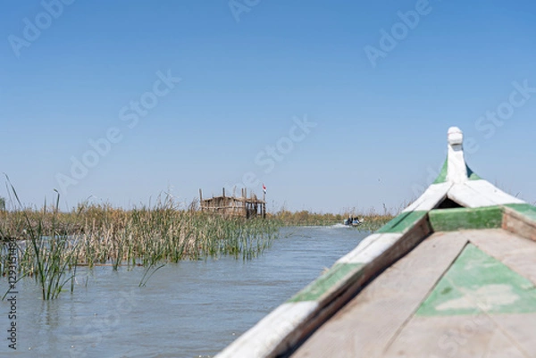 Fototapeta Boat trip in the Mesopotamian / Iraqi Marshes with the so called Marsh Arabs Madan