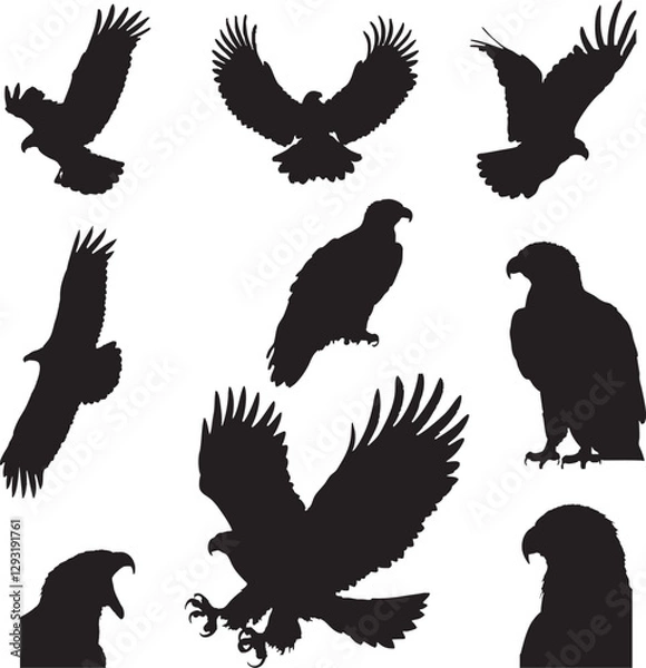 Obraz Eagle Silhouettes Vector Set - Black Flying and Perching Birds
