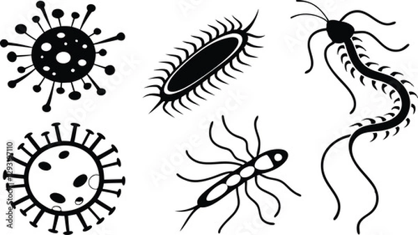 Fototapeta Various microorganism silhouettes in vector design, ideal for science, microbiology, and healthcare-themed artwork