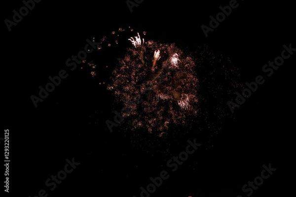 Fototapeta fireworks in the sky