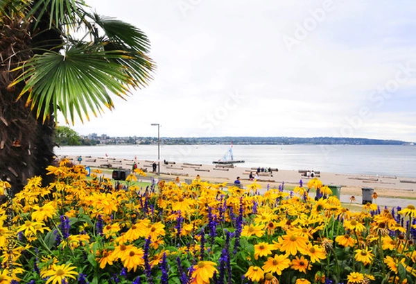 Fototapeta バンクーバーの賑わうイングリッシュベイと花壇
