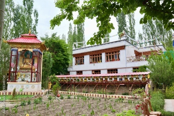 Obraz インド　ラダックの家庭菜園