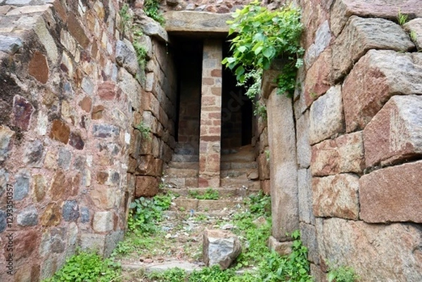 Obraz インド　ニューデリー　トゥルガーバード　公園