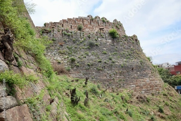 Obraz インド　ニューデリー　トゥルガーバード　公園