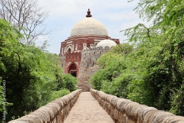 Obraz インド　ニューデリー　トゥルガーバード　公園
