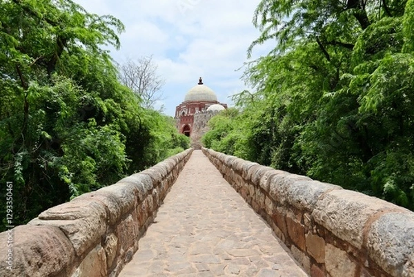 Obraz インド　ニューデリー　トゥルガーバード　公園