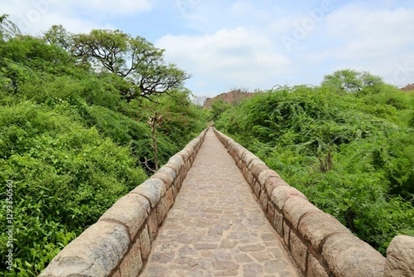 Obraz インド　ニューデリー　トゥルガーバード　公園