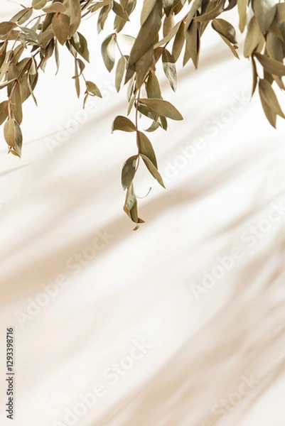 Obraz Vertical blank warm lighting background. Blank wallpaper with leaf foreground. White and Wooden surface. Light and Shadow wallpaper. Space for text. Backdrop. Studio photography. Sunshine. Elegant.

