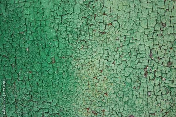 Obraz Green rusty background, rough, rough texture in the cracks.