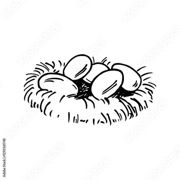Fototapeta Vector engraved illustration Nest with chicken Eggs on isolated background. Concept for Easter holiday and egg production, food. Design element for card, logo, sign, label, flyer, print, paper 