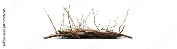 Obraz Natural Twisted Branches Creating Organic Artistic Visual Display