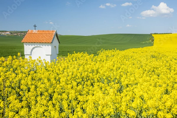 Fototapeta spring landscape with colored fields and little chapel
