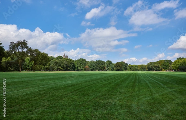 Fototapeta Huge green lawn in Central Park with trees, bushes and the towers of The Eldorado building on 300 Central Park West