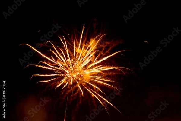 Obraz Fuegos artificiales 4