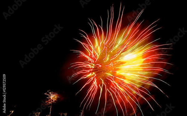 Obraz Fuegos artificiales 2