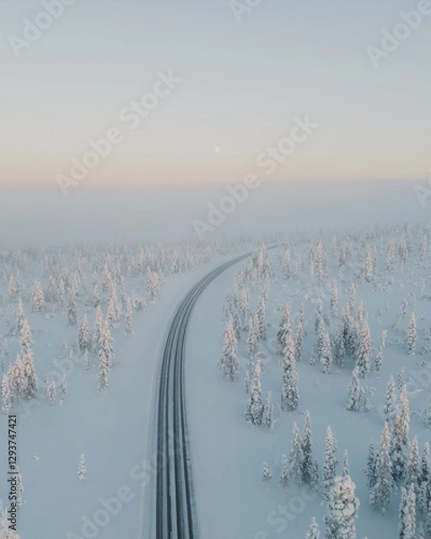 Fototapeta Lapland in the snow, landscapes of pristine snow topped trees and magical golden light in the artic circle. High res photography 