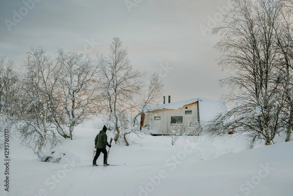 Fototapeta Lapland in the snow, landscapes of pristine snow topped trees and magical golden light in the artic circle. High res photography 
