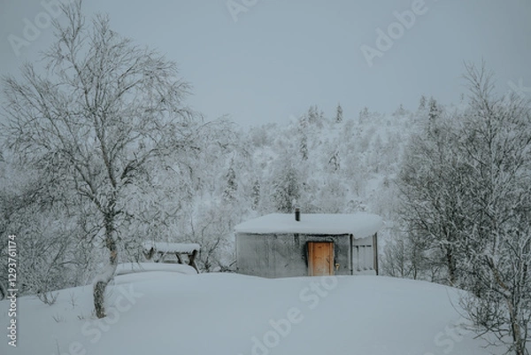 Fototapeta Lapland in the snow, landscapes of pristine snow topped trees and magical golden light in the artic circle. High res photography 
