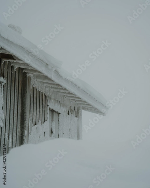 Fototapeta Lapland in the snow, landscapes of pristine snow topped trees and magical golden light in the artic circle. High res photography 