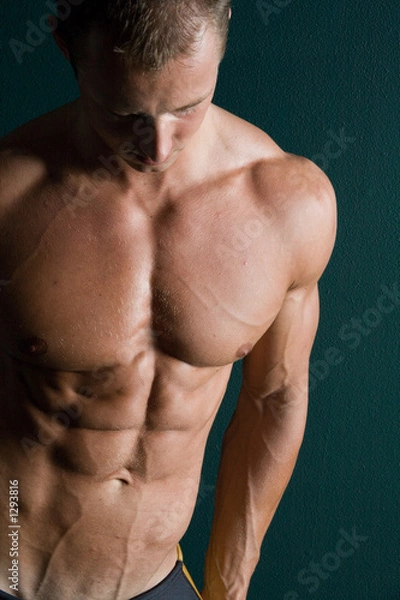 Obraz body builder abs