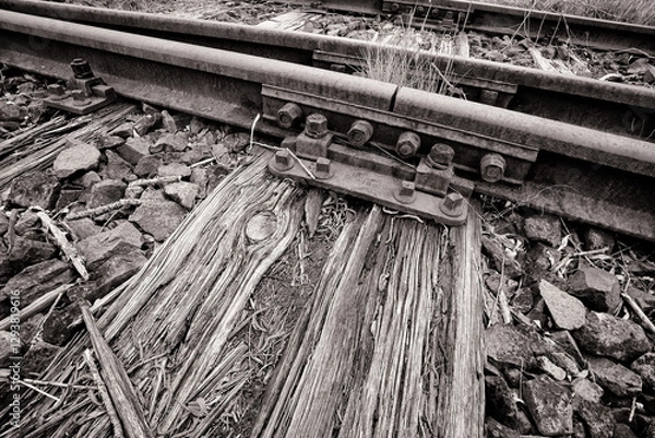 Fototapeta Darßbahn, Bresewitz