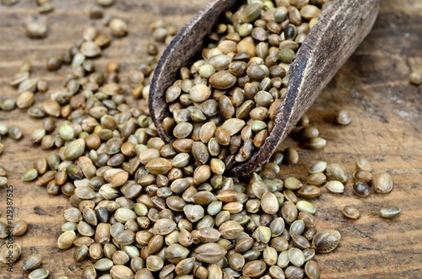 Obraz hemp seed on table