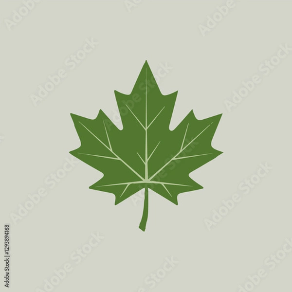 Fototapeta A Flat-Style Green maple leaf on a Plain White Background