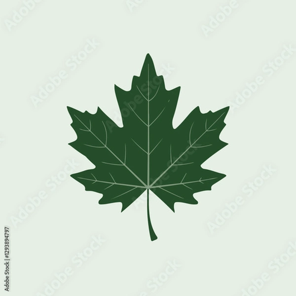 Fototapeta A Flat-Style Green maple leaf on a Plain White Background