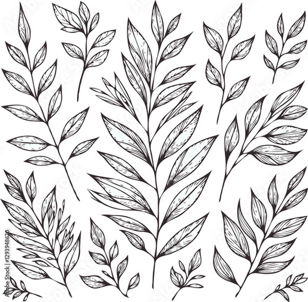 Fototapeta Illustrator Artwork Hand Drawn Vintage Sketch Drawing, green leaves Line Art, Plants Collection branches Floral elements, set of Botanical Illustration Outline leaf, branch Black And White leaves