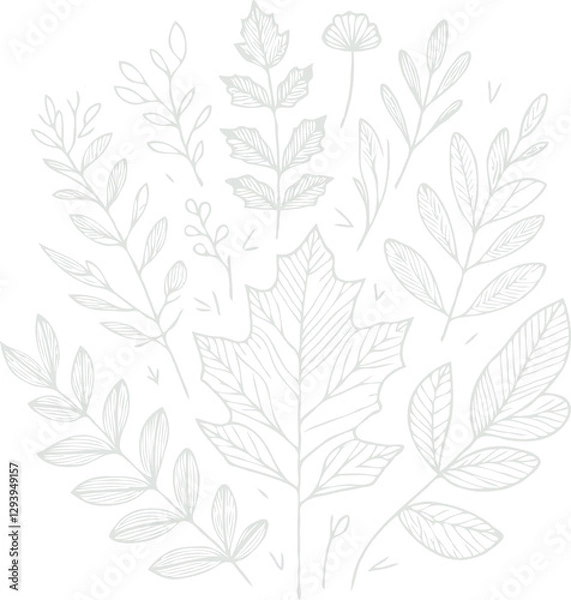 Fototapeta Illustrator Artwork Hand Drawn Vintage Sketch Drawing, green leaves Line Art, Plants Collection branches Floral elements, set of Botanical Illustration Outline leaf, branch Black And White leaves