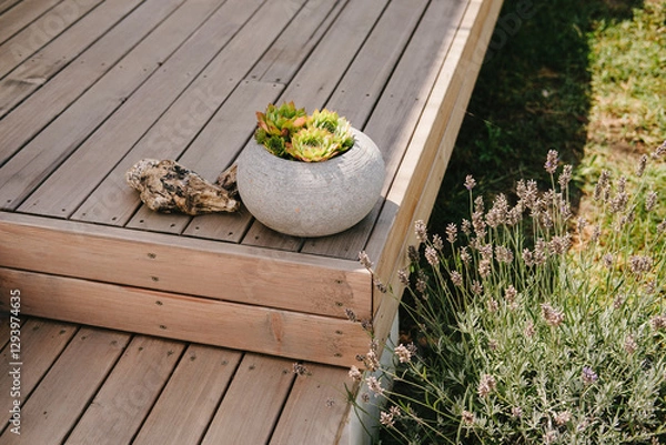 Obraz An arrangement of Terracotta pots in an English garden planted with succulent plants