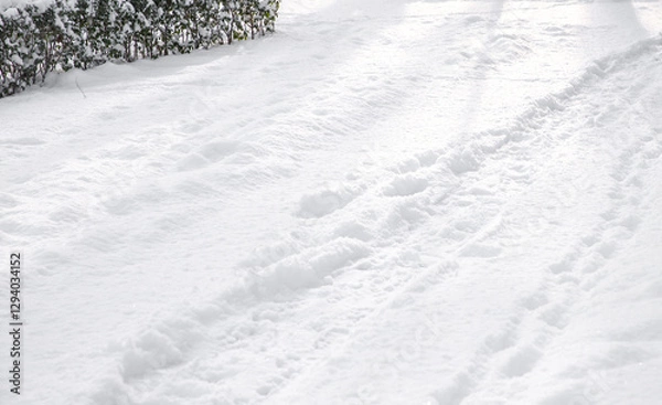 Obraz Delicate white snow blankets the serene landscape, creating a peaceful winter atmosphere. Sparkling frost glimmers in the sunlight as snowflakes dance through the air, embodying the season's charm.