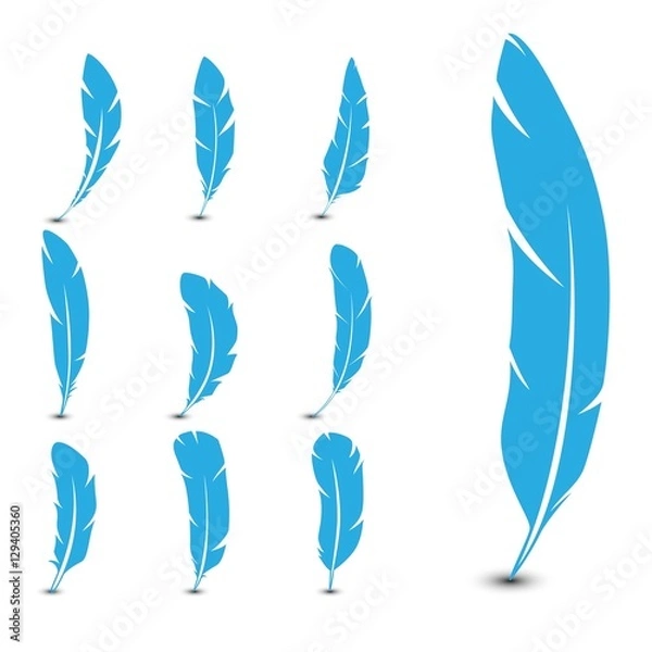 Obraz Set of feathers. Vector illustration.
