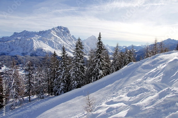 Obraz Piste da sci innevate