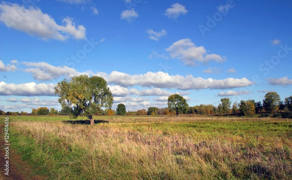 Fototapeta Sunny September