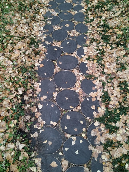 Fototapeta Top view of a path made from round tree trunk sections, autumn day.