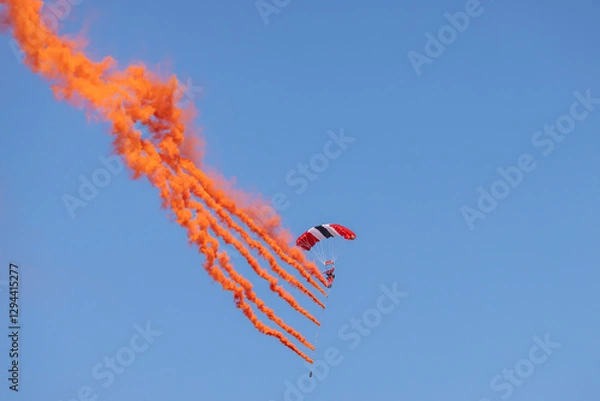 Fototapeta Yearly event Market Garden paradroppings in september at Ginkel heath in Ede The Netherlands