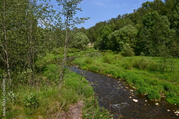 Obraz деревня Холохольня. Старицкий район. Тверская область