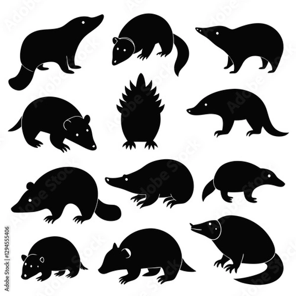 Fototapeta set of moles collection of silhouettes of black vector