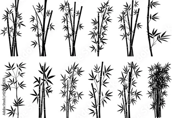 Fototapeta Bamboo from leaves and stems, black silhouette on transparent background, vector set for stencil