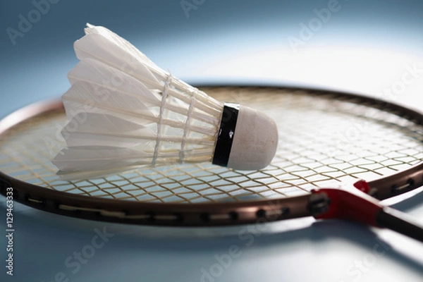 Fototapeta badminton