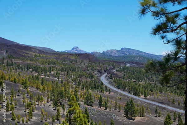 Fototapeta Landscape of vegetation and volcanic terrain in Teide National Park