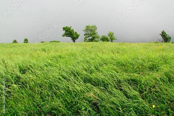 Fototapeta Windy weather in the spring in the mountains